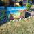 Paintings 6 thumbnail