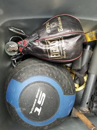 Speed Bag Everlast 4000 1