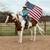 Gelding for sale 4 thumbnail