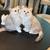 Kitte 5 thumbnail