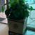 INDOOR PLANTER 45x45 ON IRON STAND & ARTIFICIAL PLANTS..price in pesos 1 thumbnail