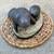 Manatee Statue by Chris Dixon 1990 (c) 1 thumbnail