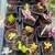 Plant / Yard Sale 7 thumbnail