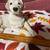 6 Collectible dog figurines-buy one or all! 6 thumbnail