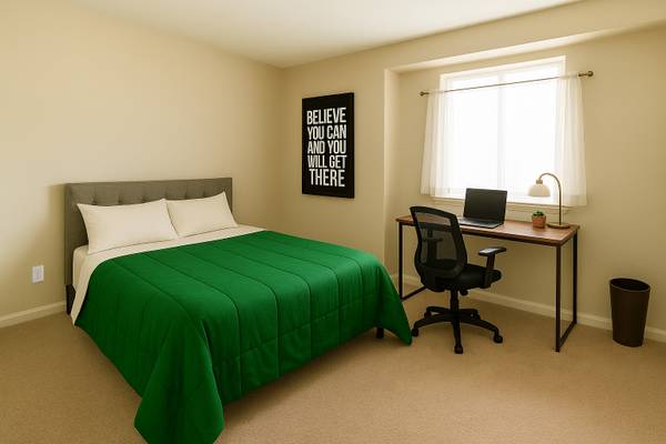 $1,150 / 4br - 120ft2 - $1150 Mes a Mes Habitación Amueblada de Estilo en una Casa | Downtown Sac (Sacramento)64043663400322123