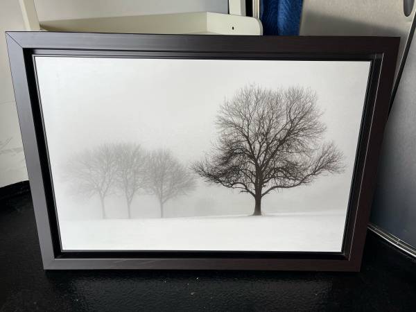 Framed Art “Winter Trees” 1
