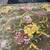 Large Area Rug 3 thumbnail