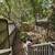 Bedroom plus home office in beautiful midcentury Mt Pleasant home 5 thumbnail