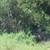 CALIFORNIA LAND FOR SALE,  CLEARLAKE 1 thumbnail
