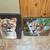 PORTRAIT PAIR OF CHEETAH CATS / PHOTO ON CANVAS 3 thumbnail