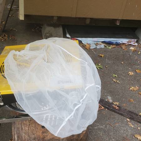 Big Leaf maching 1