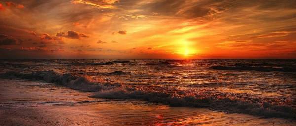 Mobile Headlight Restoration service. Don't replace; Restore $50!!!!! 1