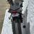 *REDUCED* 2015 MV Agusta Brutale 675 4 thumbnail
