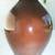 "POTTERY LOVERS" RICK WISECARVER POTTERY VASE 3 thumbnail