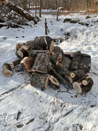 Firewood 1