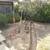 Carpentry. Decks, pergola, covered patio 7 thumbnail