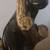 1980's Black Panther Table Lamp 4 thumbnail