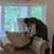 PROFESSIONAL UPHOLSTERY & FURNITURE CLEANING |Northwest WASHINGTON, DC 6 thumbnail