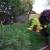 🔥🍎🍏LANDSCAPER, LANDSCAPING, LANDSCAPE, LAWN CARE, YARD CLEAN UP✅ 4 thumbnail