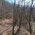 17.56 Acres Mingo County 14 thumbnail