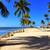 MINI LOBSTER FL Keys Vacation Caloosa Cove Resort 7 nights 1 thumbnail