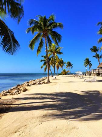 MINI LOBSTER FL Keys Vacation Caloosa Cove Resort 7 nights 1