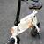 White Electric Bike 2 thumbnail