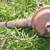 49 Ford Flathead V8 8BA Parts 18 thumbnail