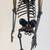 Full size, Fully articulating metal skeleton sculpture, hand made with auto part 4 thumbnail