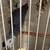 African gray breeding pair. 8 thumbnail