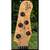 Michael Kelly Pinnacle 5 string Bass - Burl - EXC COND 4 thumbnail