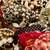HUGE lot of 80’s themed costume jewelry! 7 thumbnail