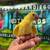 Baby Indian ringneck 5 thumbnail