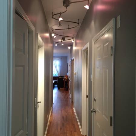 $3,200 / 2br - 1250ft2 - 2 Bed/2 Bath Furnished Rental in Ukranian Village Available 10/1 (Chicago)63781373757057123