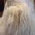 PK Pap Kik Reversible White Leather Rabbit Fur Coat Floral Embroidered France S2 17 thumbnail