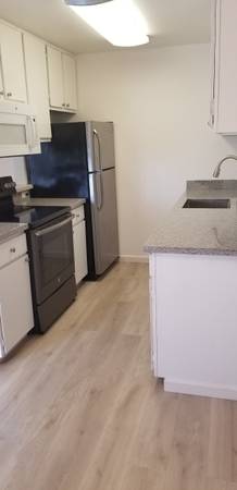 $2.395 / 1 dormitorio - 650 pies² - Amplio departamento actualizado de 1 habitación y 1 baño en el último piso en Belmont (belmont)63348467198467123
