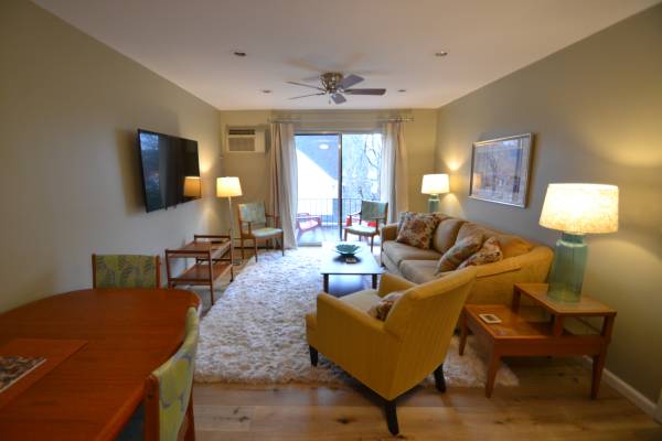$1,295 / 1br - 600ft2 - R-22 Corp Furn 1BR Center City location (Bond Hill)63974473327746121