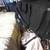 Cello 11 thumbnail