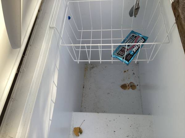 Free freezer
