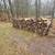 Firewood for sale 5 thumbnail