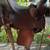 Slickfork custom saddle 1 thumbnail