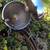 VERY RARE MILLER CHROME HEAD LIGHT BICYCLE 3 thumbnail