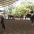 Personalized horse boarding. retirement horses welcomed 4 thumbnail