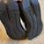 Mens size 12 PUMAS BLUE/BLACK 6 thumbnail