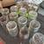 Crafters special Assortment of mason jars. Glass lids with wire closure. 2 thumbnail