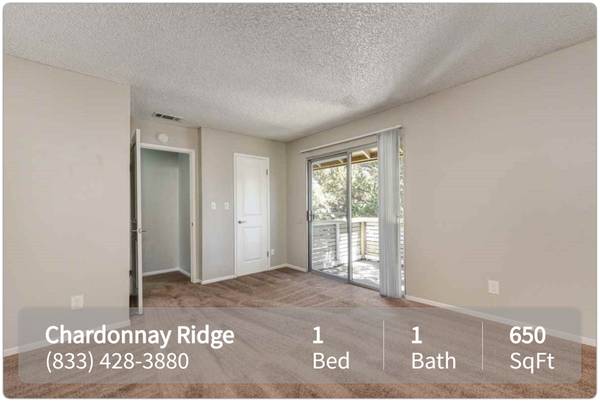 No car? No problem! Great community near transit lines! 1 bed/1 bath 1