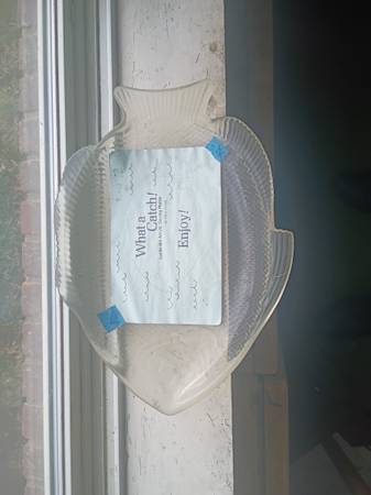 Acrylic fish-shaped serving platter 1