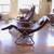 Zero Gravity Chairs, set of two  Leather wrapped cushions 5 thumbnail
