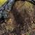Bulk Compost Priced for 1/3 Cubic Yard. Will Load. 5 thumbnail