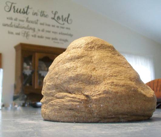 Sourdough Bread Starter 1